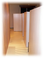 �A���}�_�f���}�O�l�i���C�j�Z���s�[ �C���[�W